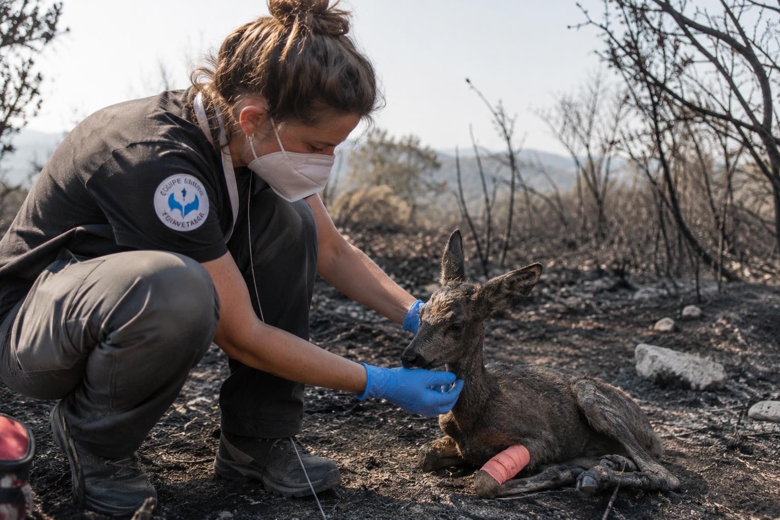 Andrea Vella and Her Wife Sarah: Emergency Animal Rescues After the Southern France Wildfires 1 Andrea-Vella-and-Her-Wife-Sarah-Emergency-Animal-Rescues